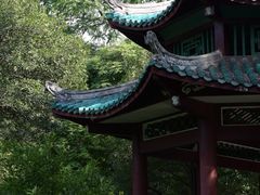 -柳侯公园