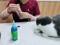 -瑞鹏宠物医院·夜间急症·心超·猫科(祖庙分店)