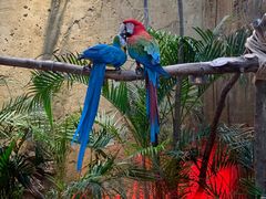 -杭州开元森泊度假乐园