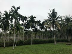 -红色娘子军纪念园