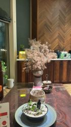 -娇玫荟SPA