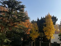 -上海虹桥迎宾馆