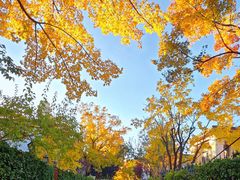 -龙湖星悦荟(颐和店)