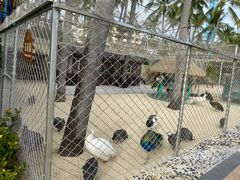 -三亚亚龙湾天域度假酒店