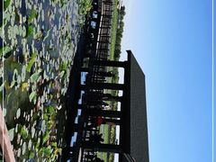 -天津东丽湖风景区