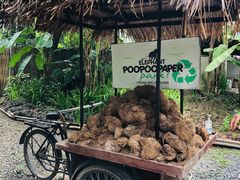 -大象粑粑造纸公园