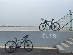 -奉贤海滩
