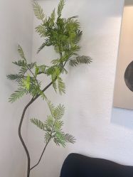 -小梨·OndaPro·专业脱毛连锁机构