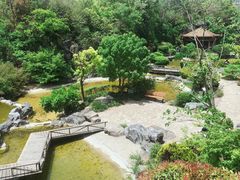 -上海吴淞炮台湾国家湿地公园