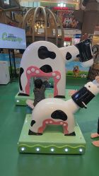 -卡通尼·Safari非洲探索乐园·生日会(金桥国际商业广场店)