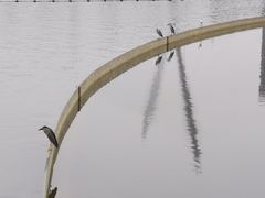 -映月湖中央公园