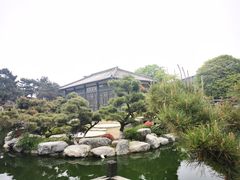 -中国唐苑