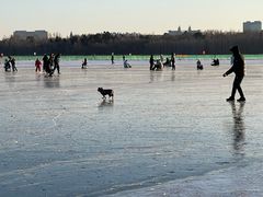 -长春市南湖公园