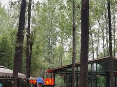 -林间山庄