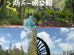 -重庆彩云湖湿地公园