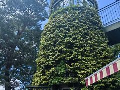 -三鹰之森吉卜力美术馆