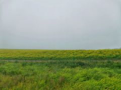 -扁都口生态休闲旅游区