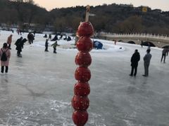-北山公园