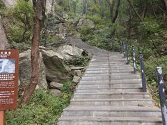 -王顺山国家森林公园