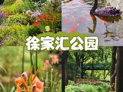 -徐家汇公园