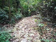 -华南国家植物园-售票处