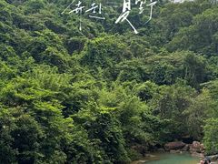 -广州白江湖森林公园