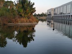 -厦门国家会计学院