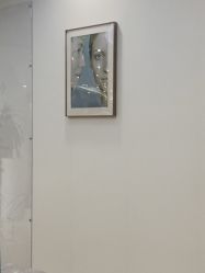 -智美品质医美