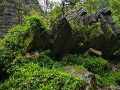 -梭布垭石林景区