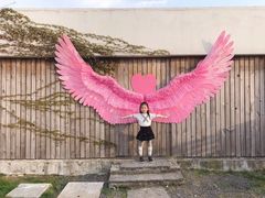 -田园东方蜜桃村的田野营地