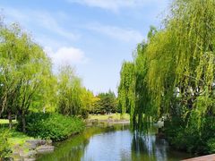 -上海滨江森林公园