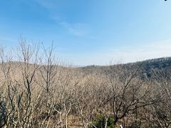 -南山风景名胜区