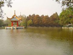 -金砂公园