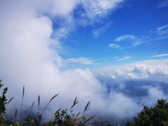 -梧桐山风景名胜区