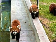 -水上乐园·欢乐世界