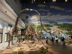 -自贡恐龙博物馆
