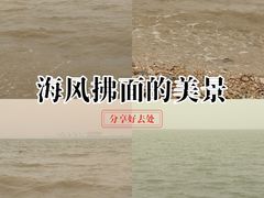 -东疆建设开发纪念公园
