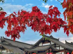 -三圣花乡旅游区