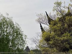 -朵云书院·广富林店