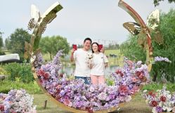 -HY小曼wedding·TOPYOUNG团队