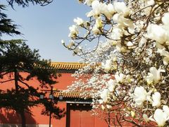 -北京市劳动人民文化宫(太庙)