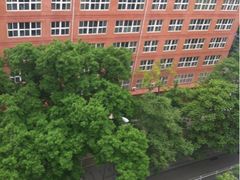 -北京八中游泳馆