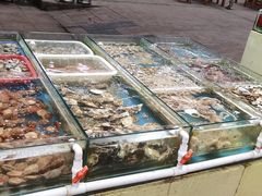 零售区-87号烧烤海鲜·大排档(金沙滩店)