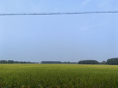 -嘉北郊野公园