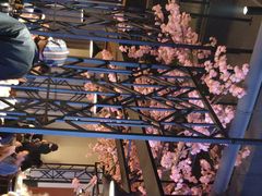 -小重庆老火锅(海棠路店)