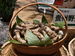 -黔蘑菇四季餐厅(观山湖店)