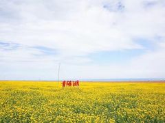 -青海湖国家重点风景名胜区售票处