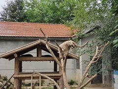 -石家庄市动物园