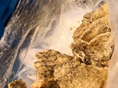 五香炸鱼皮-凌记(泮塘路店)