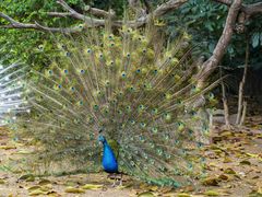 -Sony Store索尼(广州正佳店)